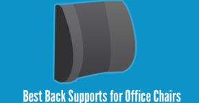 Read more about the article Top 5 Best Back Supports for Office Chairs