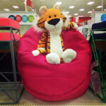 Read more about the article How to Choose a Bean Bag Chair