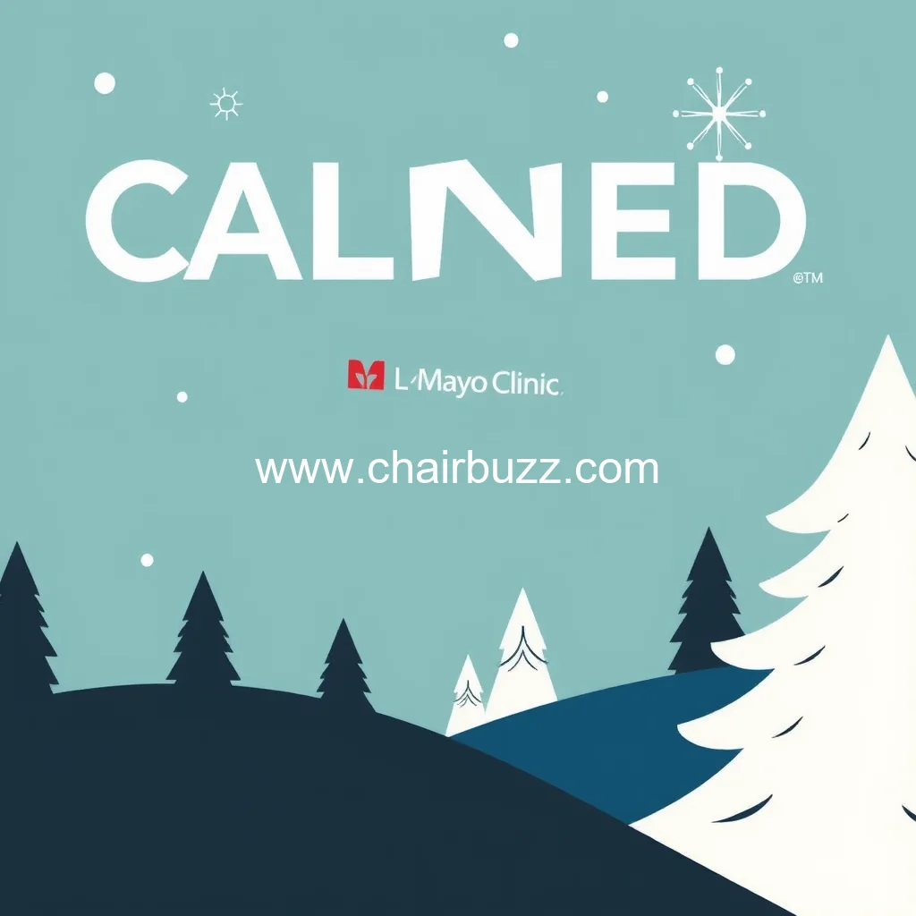 Artistic representation for Mayo Clinic donates to La Crosse Warming Center to help bring comfort to those in need