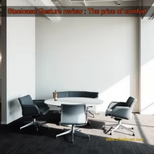Artistic representation for Steelcase Gesture review : The price of comfort