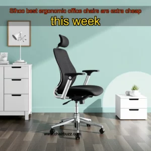 Read more about the article Sihoo best ergonomic office chairs are extra cheap this week