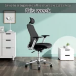 Read more about the article Sihoo best ergonomic office chairs are extra cheap this week
