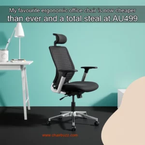 Read more about the article My favourite ergonomic office chair is now cheaper than ever  and a total steal at AU499