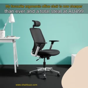 Artistic representation for My favourite ergonomic office chair is now cheaper than ever and a total steal at AU499
